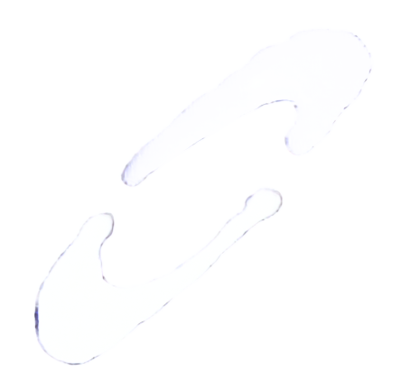 Home Button